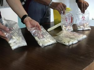 Modena, nigeriana arrestata con 81 ovuli di cocaina nello stomaco. Beveva molto e mangiava yogurt