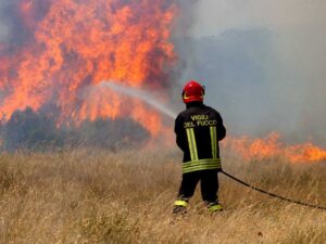 Toscana, incendi in Maremma: distrutti diversi ettari di bosco