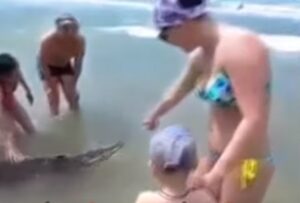 YOUTUBE Porta alligatore al guinzaglio sulla riva: bagnanti lo accarezzano