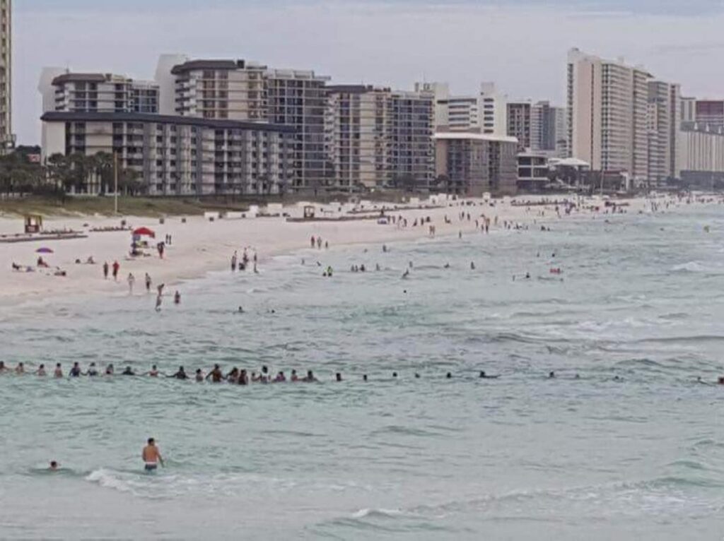Florida, catena umana salva in mare intera famiglia 