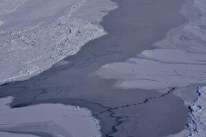 Antartide, si stacca iceberg Larsen C: è grande quanto la Liguria, allerta climatica globale