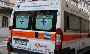Pomponesco (Mantova), esplosione alla Chimica Pomponesco: due operai feriti