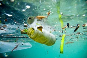 Mar Adriatico, tracce di plastica anche nel pesce che mangiamo