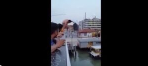 VIDEO Turisti si tuffano da ponte Calatrava, polemica a Venezia