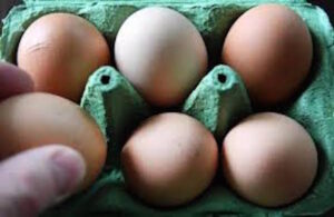 Uova contaminate: a Milano sequestrate omelette surgelate