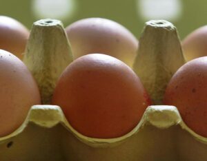 Uova al fipronil: due nuovi casi. Non si sa però dove