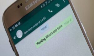 WhatsApp, le novità per migliorare il trasferimento dei file