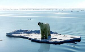 Riscaldamento globale, contrordine degli scienziati: "La paura è esagerata"Riscaldamento globale, contrordine degli scienziati: "La paura è esagerata"