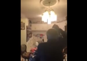 YOUTUBE Pipistrello in cucina: famiglia parte alla caccia e il video è tutto da ridere