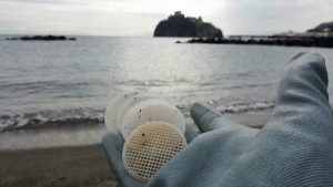 Dischetti di plastica spiaggiati sulle coste tirreniche