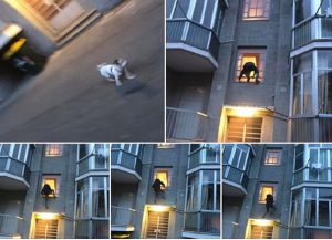 Torino, fotografa il ladro appeso alla finestra e posta la foto su Fb