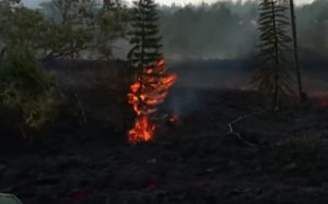 YOUTUBE Hawaii, eruzione del vulcano Kilauea: la lava fuoriesce dal giardino di una casa