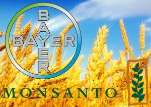 Bayer compra (63 mld $) e cancella il marchio Monsanto