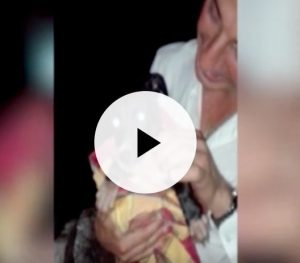 Bari, cucciolo di cane finisce in un pozzo: salvato dai vigili del fuoco - VIDEO