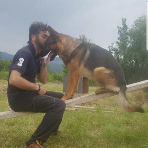 "Kaos ucciso da un infarto, non avvelenato": giallo sulla morte del cane eroe di Amatrice