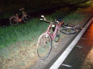 Olanda: treno contro cargo bike, morti 4 bambini
