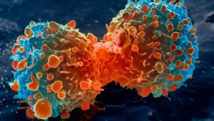 Tumore, suicidio cellulare come terapia: il codice di autodistruzione