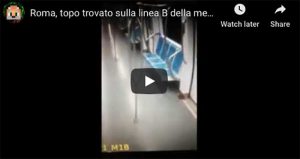 Roma, topo sulla metro B esponente Pd denuncia:"Roma è diventata il regno dei topi" VIDEO (YouTube)
