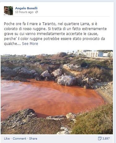 Mare rosso a Taranto. Colpa delle alghe01