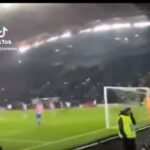 maignan udinese video