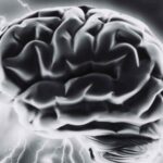 Il chip nel cervello umano, una cosa buona che sicuramente riusciremo a rovinare