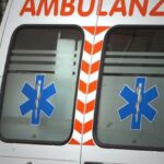 "Sono stato morso da una vipera", grave un 32enne. Foto d'archivio Ansa