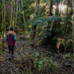 donna cammina nel verde