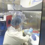 La Cina testa un nuovo ceppo mutante del coronavirus, mortale al 100%. Ancora? Almeno non fate cadere la provetta. Foto d'archivio Ansa