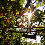 Meteo per i prossimi giorni, foto d'archivio Ansa