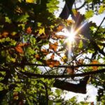 Meteo prossimi giorni, l'anticiclone ancora sull'Italia: bel tempo e... inquinamento. Foto Ansa