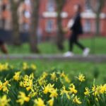 Meteo prossimi giorni, inverno già finito: sole e primavera un po' ovunque. Foto Ansa