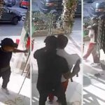 Rapiti mentre guardavano i fuochi d'artificio di Capodanno con il padre i figli dell'ereditiera tedesca