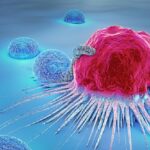 Terapia Car-T, come funziona