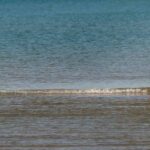 A Valencia ci sono 30 gradi e la gente va già al mare: l'Europa sempre più tropicale (e inquinata). Foto Ansa
