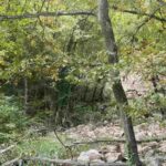 omicidio suicidio schiocchi del cerreto