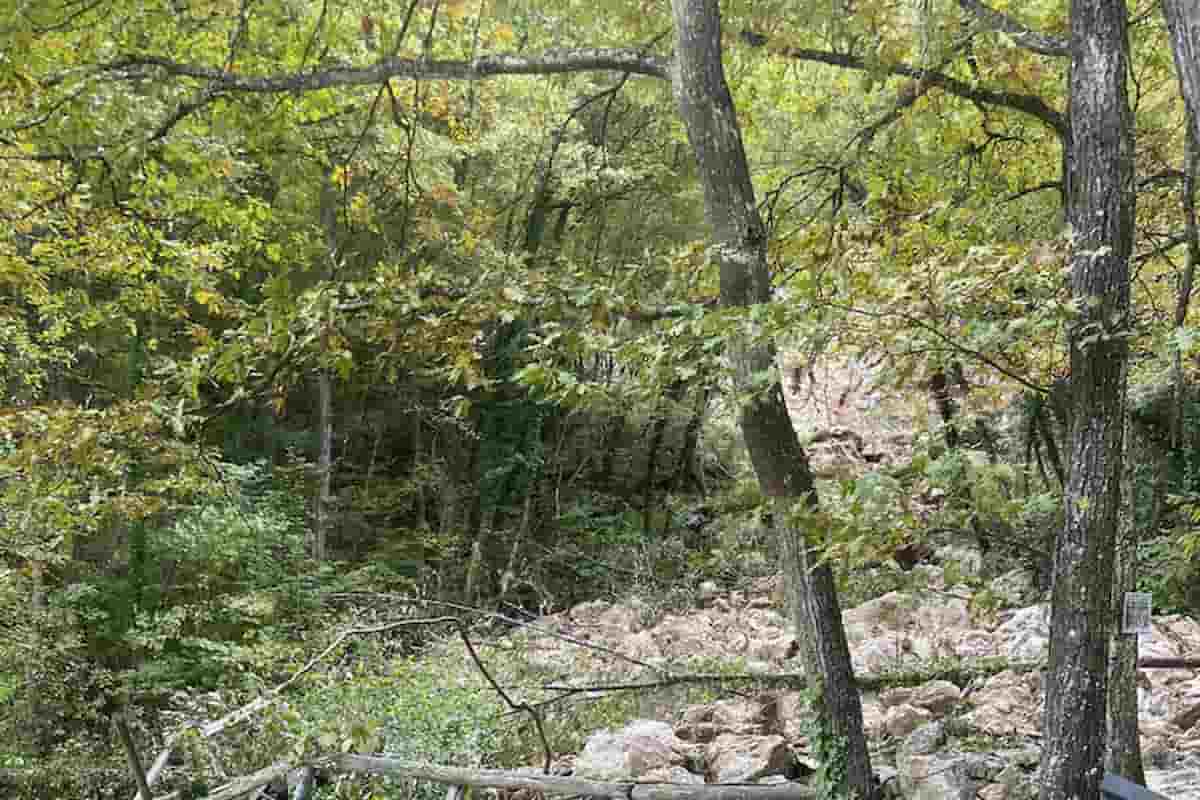 omicidio suicidio schiocchi del cerreto