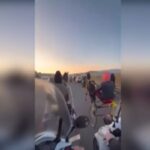 corsa clandestina cavalli catania