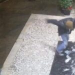 genio del giorno lavandino palermo