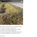 post padre giorgia morta 23 anni blitz quotidiano