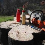 recoaro terme muore albero