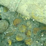 colombia galeone spagnolo tesoro