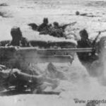 Guerra mondiale, Hitler perse per colpa dell'Italia ma Rommel sbagliò tutto