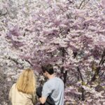 Che tempo farà nei prossimi giorni? FOTO ANSA