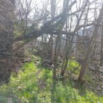 femminicidio aosta auriane laisne