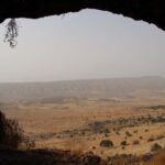 Nelle paludi della Mesopotamia è  in corso una lotta per la sopravvivenza di un ambiente che negli ultimi 50 anni l'uomo ha fatto di tutto per distruggere.