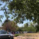 Le ricerche in corso