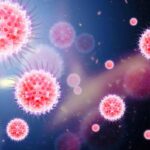 Il virus al microscopio