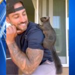 lo scoiattolo peanut gioca col padrone