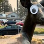 La statuta di un animale con occhi finti