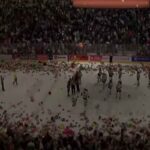 Migliaia di peluche lanciati dai tifosi sul campo da hockey